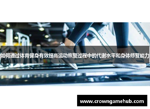 如何通过体育健身有效提高运动恢复过程中的代谢水平和身体修复能力